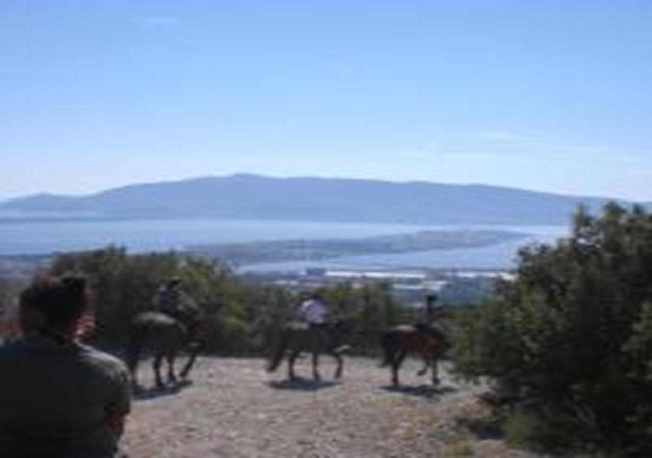App - Il Fenicottero Con Parcheggio Gratuito Ad Orbetello ออร์เบเตลโล ภายนอก รูปภาพ